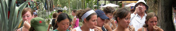 photo banner
